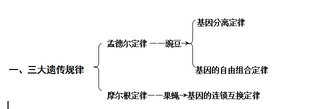 孟德尔的豌豆杂交试验(一)