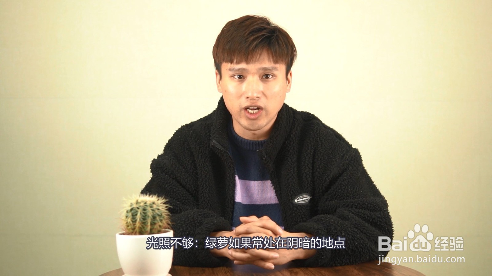 绿萝叶子有黑斑是什么原因怎么办