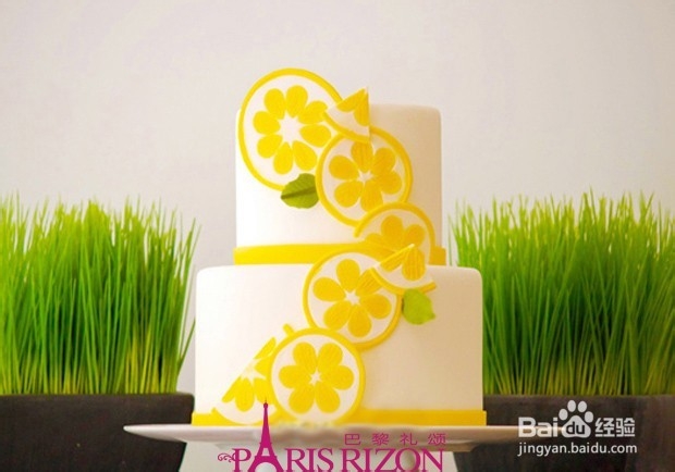 小清新甜品 巴黎柠檬柑橘礼颂蛋糕装饰DIY