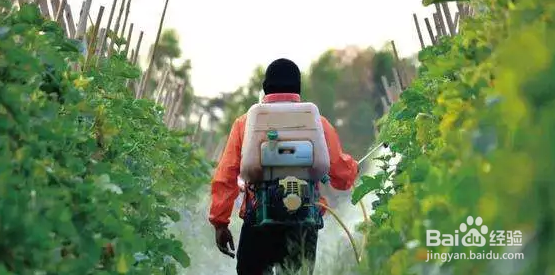 螺虫乙酯使用注意事项