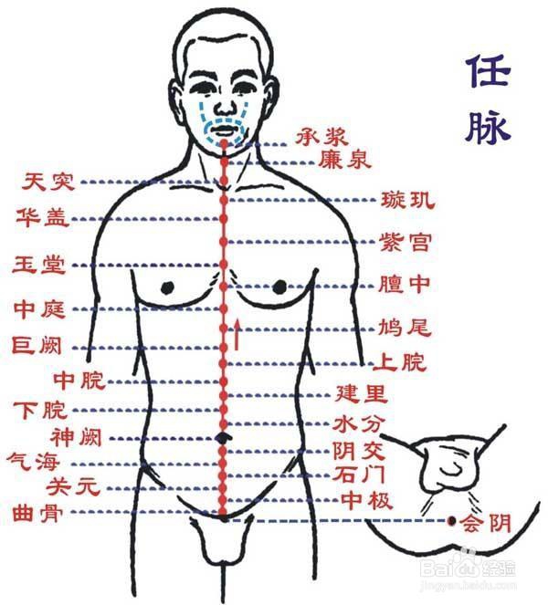 人们误读中医的原因