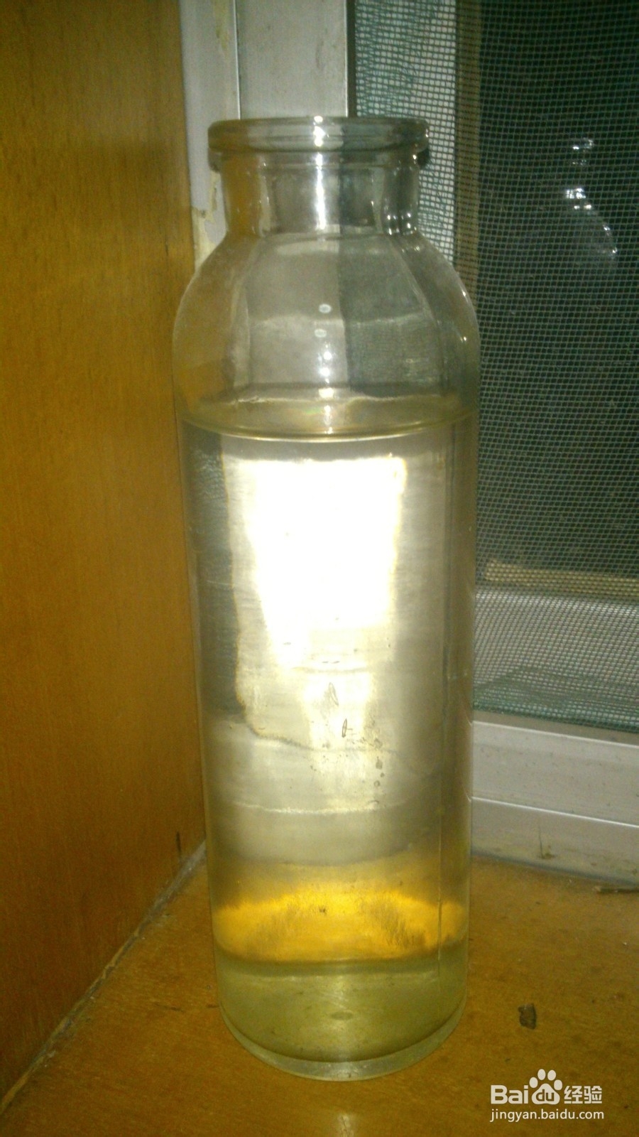 小植物让生活充满生机