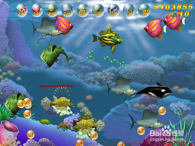 大鱼吃小鱼安卓手机版全关卡攻略之第一大关