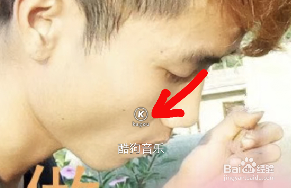手机酷狗怎么开启桌面歌词