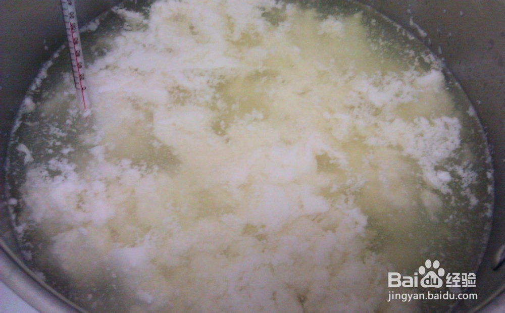 味美鲜香的马苏里拉奶酪