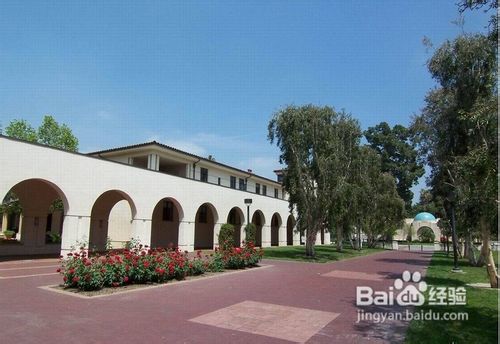 什么性格的人更适合到美国去打拼