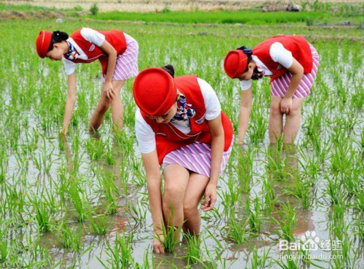 静脉曲张不用手术也能治疗