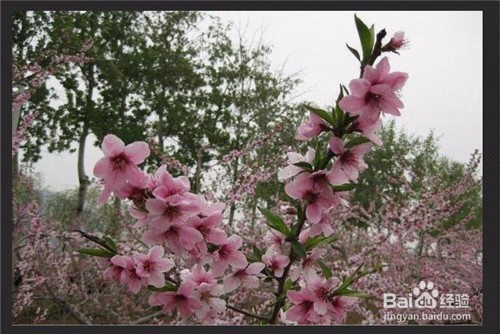 用光影魔术手如何将图片变淡