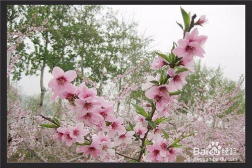 用光影魔术手如何将图片变淡