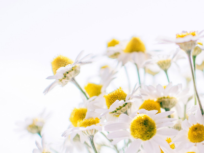 这星期你有什么收获200字的日记三年级