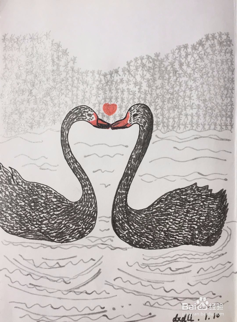 dxdll手绘之黑天鹅