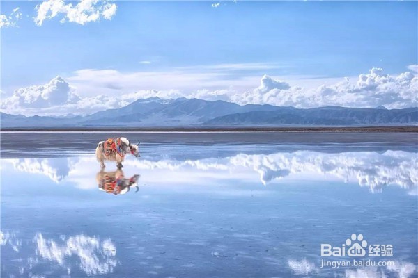 旅游攻略，乘暑假探索“一带一路”上的绝美风景