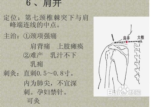 中医经络知识之足少阳胆经图解