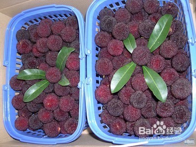 吃杨梅是不是会发胖呢夏季适量吃杨梅可以减肥的