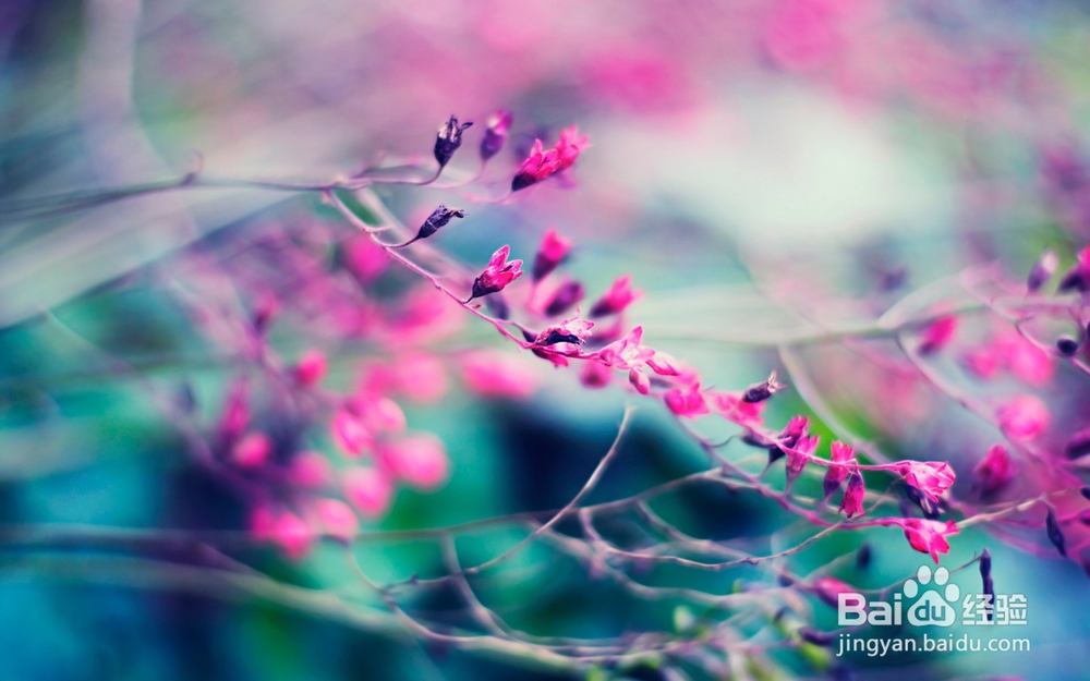 读皮亚杰关于德育培养感悟