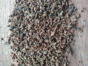 在家就可以制作的珍珠奶茶