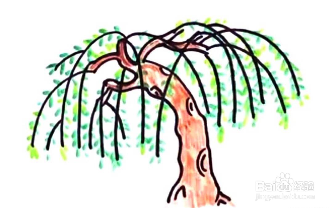 杨柳树的儿童卡通简笔画教程