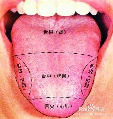快速判断体内是否有湿气