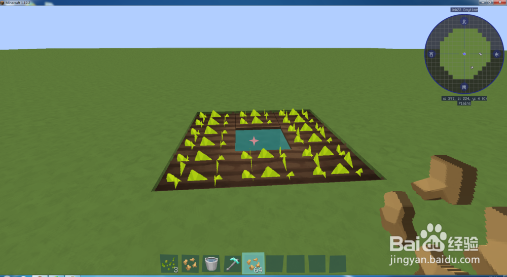 我的世界甜菜怎么获得和种植