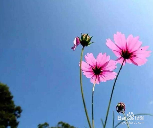 如何才能让好心态更好地提升自己?