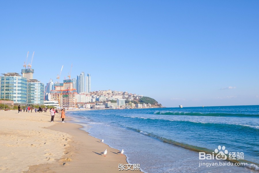 吃喝玩乐海云台，冬天的釜山行