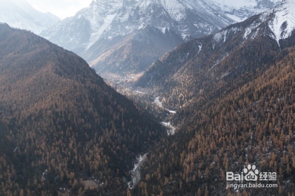 如何去优雅地说“不：[1]诚实地对待你自己