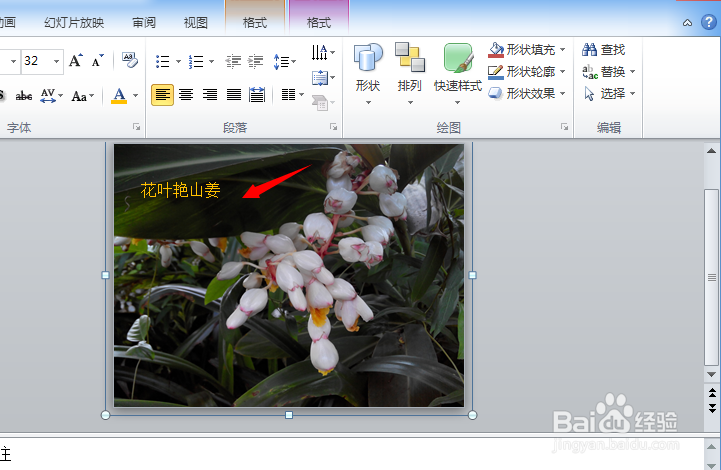 如何组合PPT中的文字和图片