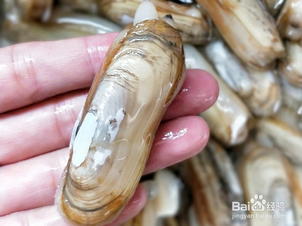 做出入味的蒜香蛏子