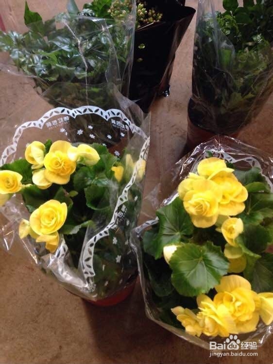 暑假社会实践ppt