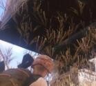 手游吃鸡组排报点攻略
