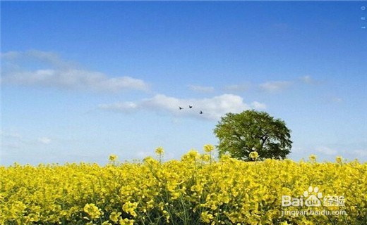 如何才能放松自己的心情