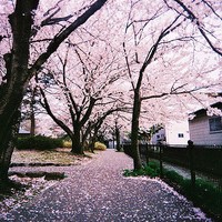 怎么样治疗焦虑精神病