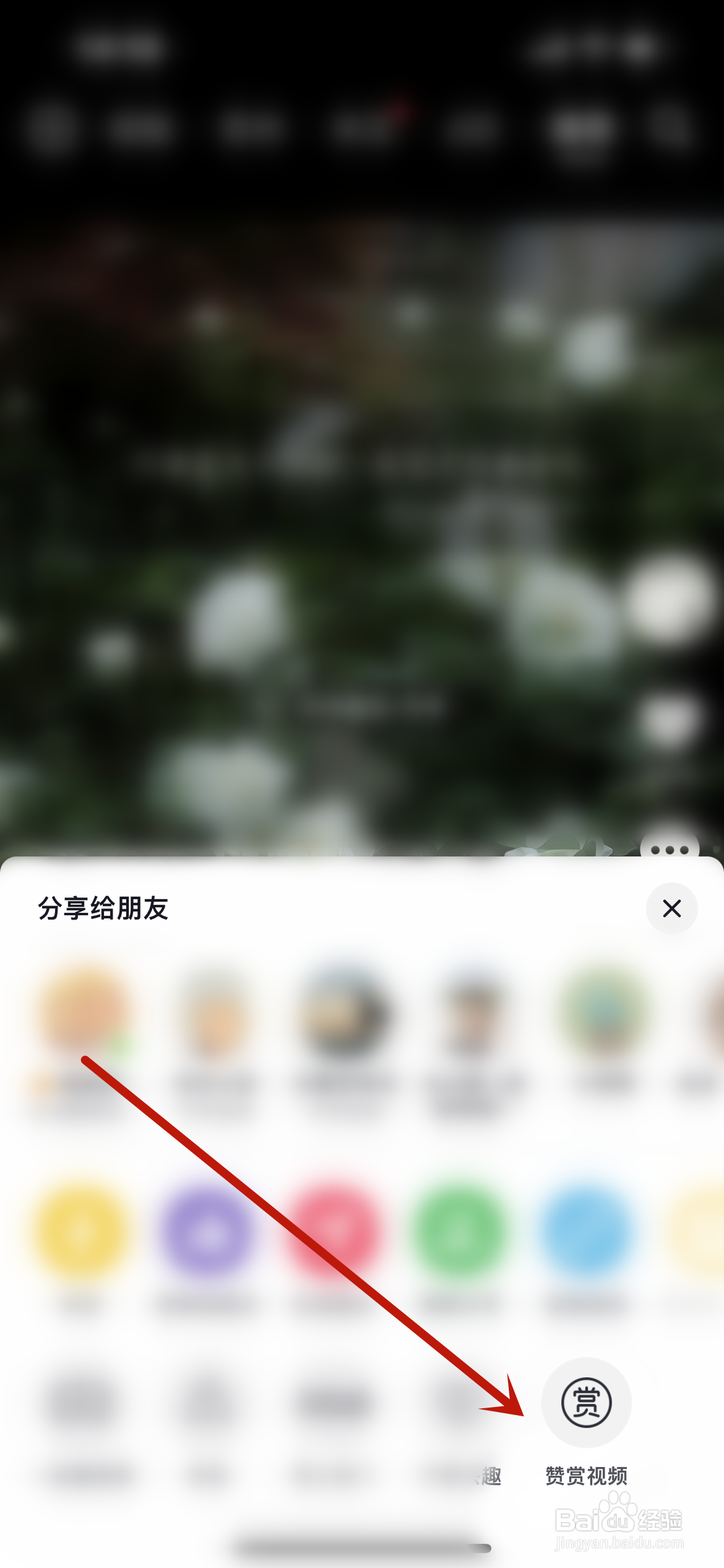 抖音怎么赞赏作品？