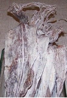 咸鲜味美……鱿鱼红烧肉