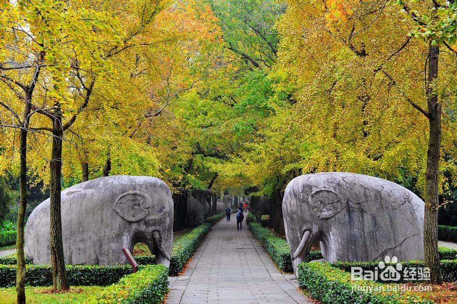 明孝陵旅游散记