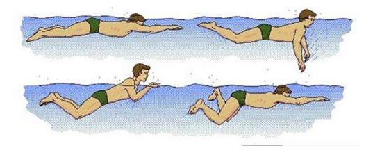 如何学习蛙泳？