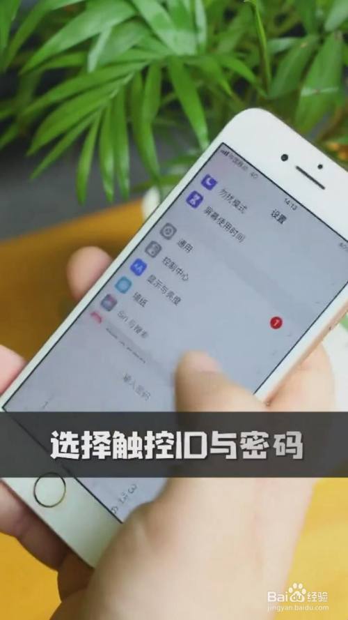 iphone5s如何设置id