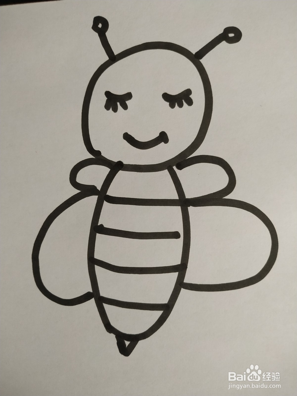 蜜蜂的简笔画技法2