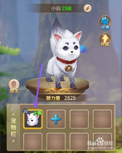 风色世界如何宠物洗髓