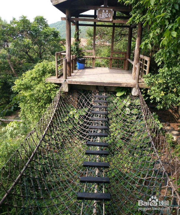 青青世界有什么好玩的