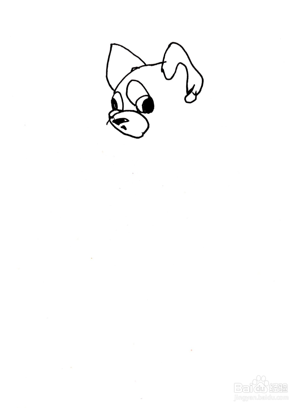 回头望的小浣熊线描画怎么画