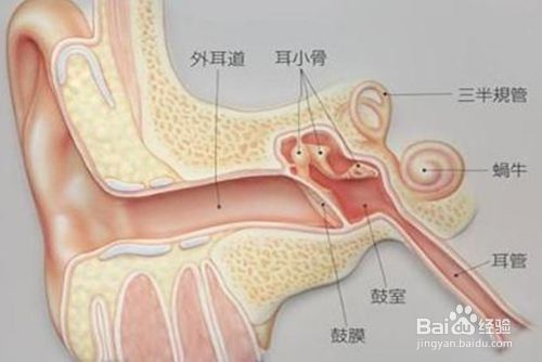 宝宝洗澡耳朵进水了怎么办 百度经验