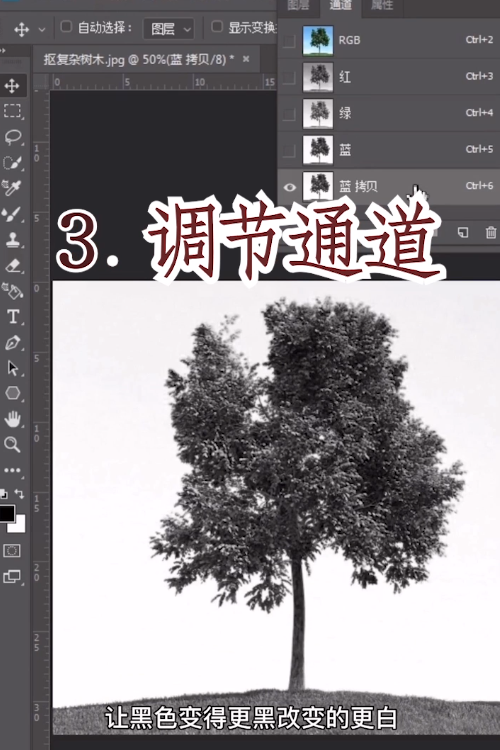 教你通道抠图