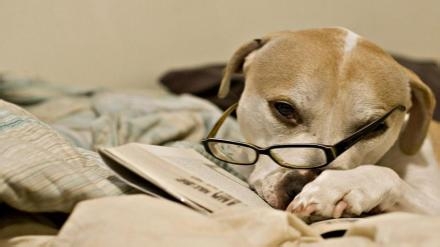 试用期工作如何做好?