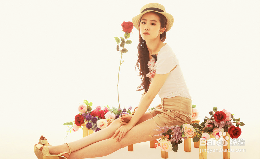 如何使用色彩范围和吸管工具创建选区