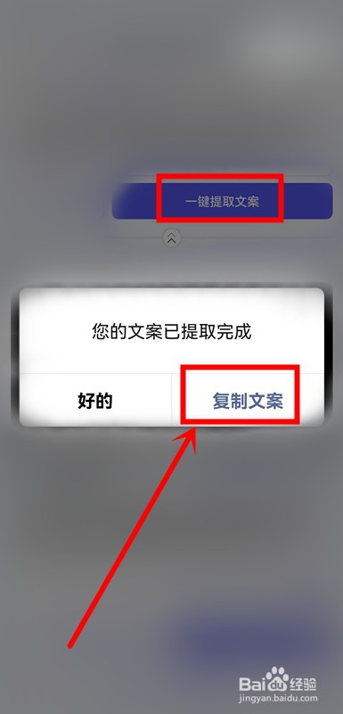 抖音导入小程序提取文字