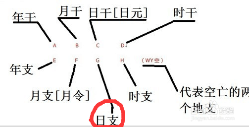 日柱看配偶长相