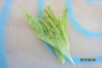 糖渍圣女果的制作方法