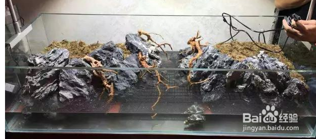 1.2米鱼缸造景教程