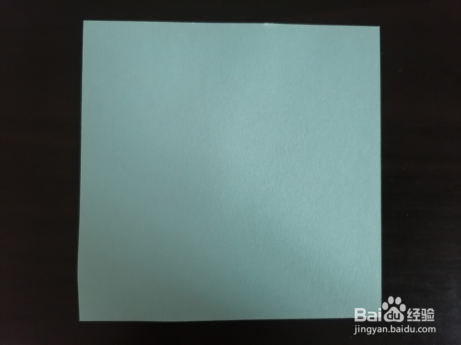 浅蓝色剪纸剑兰如何剪得好